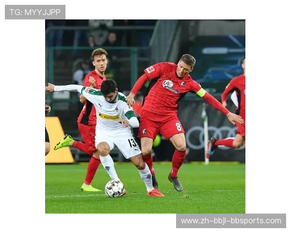 越南足球队是否与德甲有合作关系？